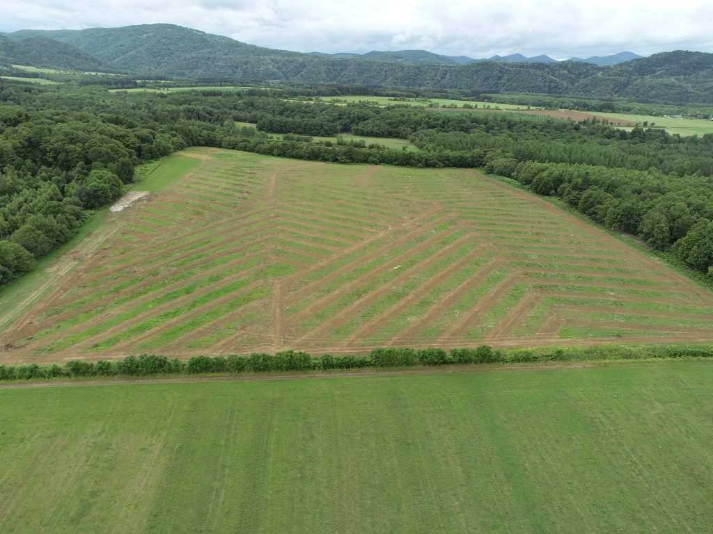 草地整備 はまなす第４地区８１工区